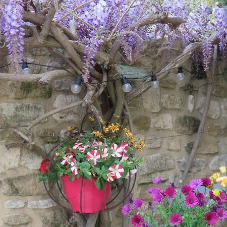 La Maison Wisteria Saint-Pantaleon-les-Vignes Bagian luar foto