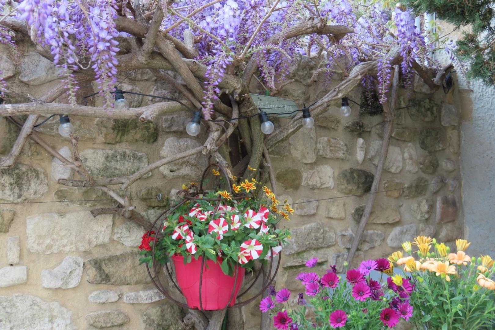 La Maison Wisteria Saint-Pantaleon-les-Vignes Bagian luar foto
